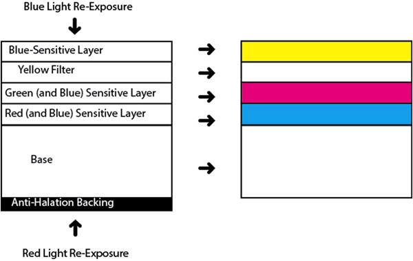 Kodachrome Illustration.png