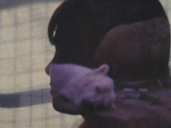 Description: :picsandquote:denkbilder 02.jpg